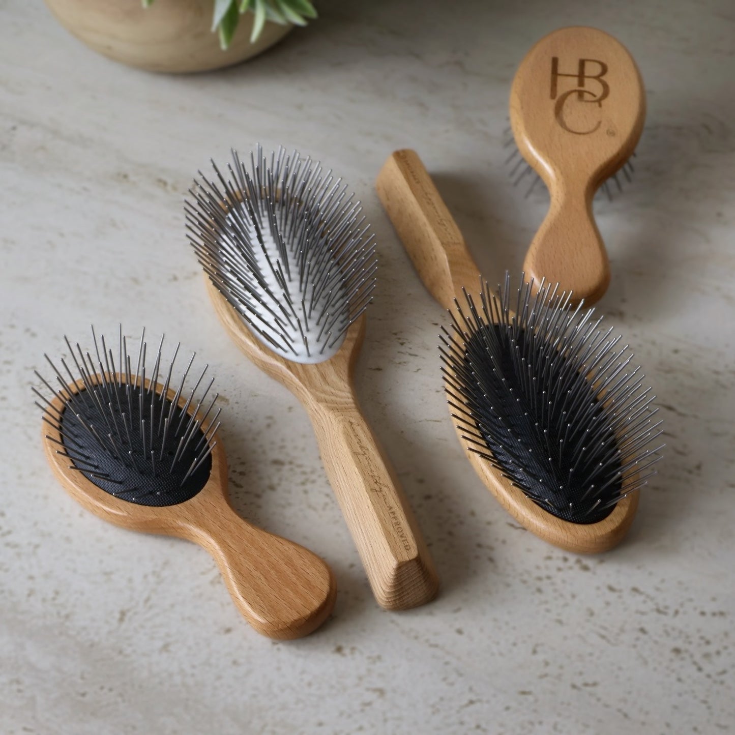 The hairbycaitlyn APPROVED® Signature Brush | Retail Set of 12 Duos